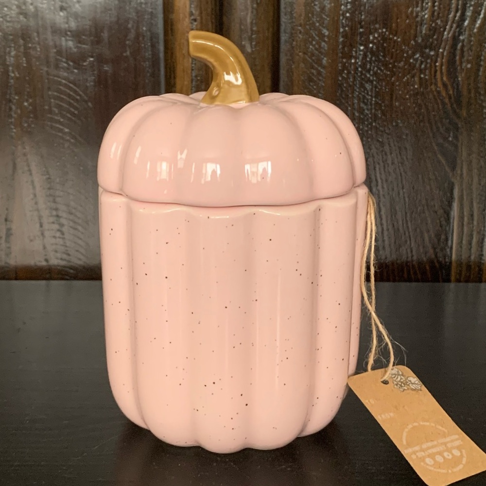 Strawberry Street 6” Pink Pumpkin Canister